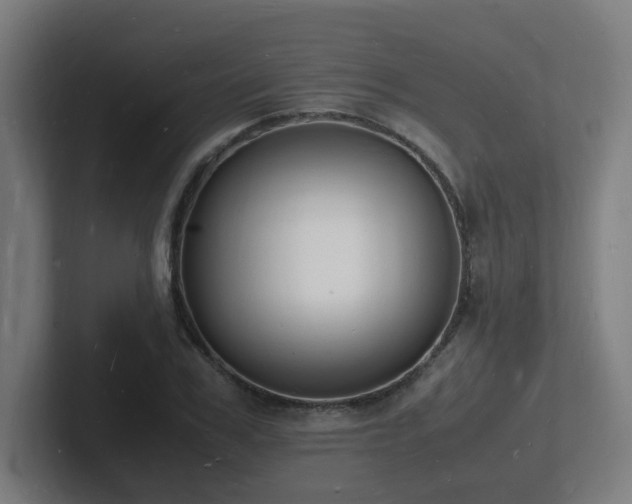 X0000102780979200808181146