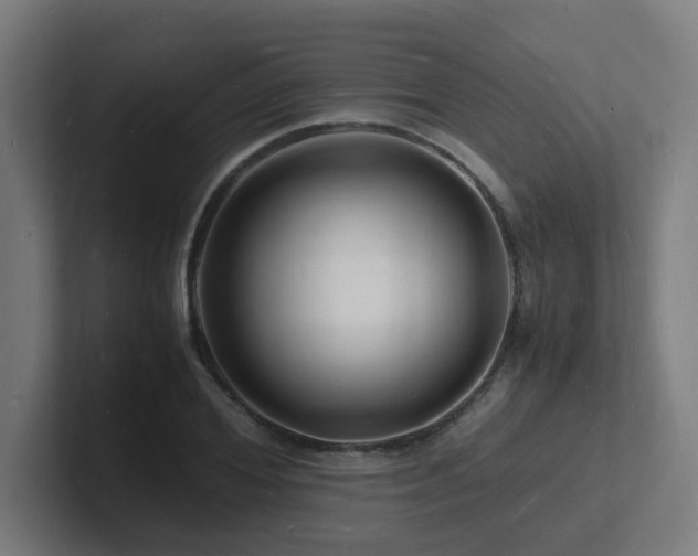 X0000102780980200808181146