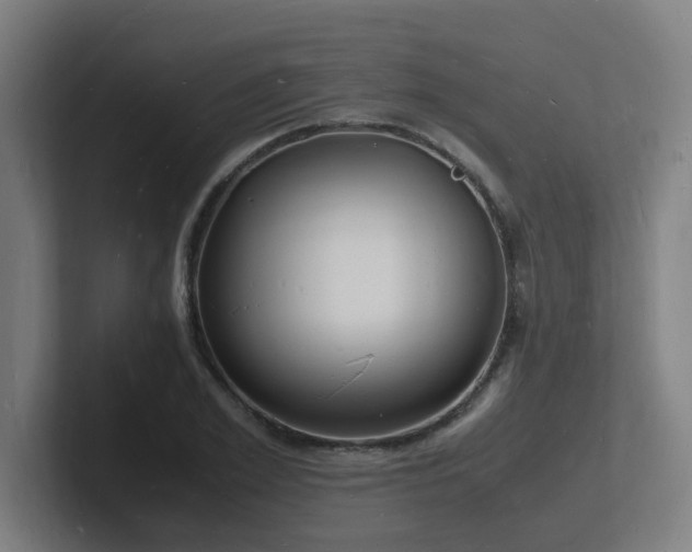 X0000102780981200808181146