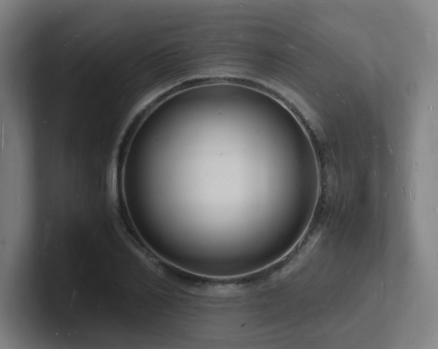 X0000102780982200808181146