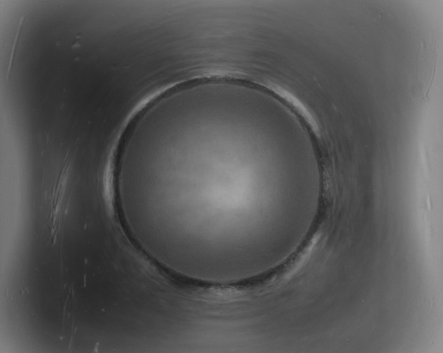 X0000102780983200808181146