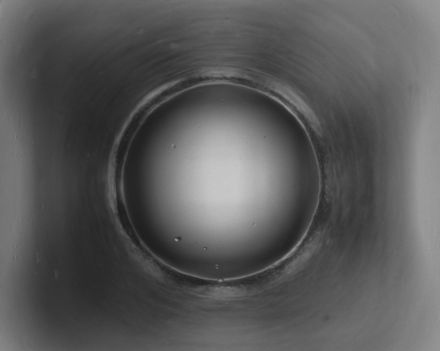 X0000102780984200808181146