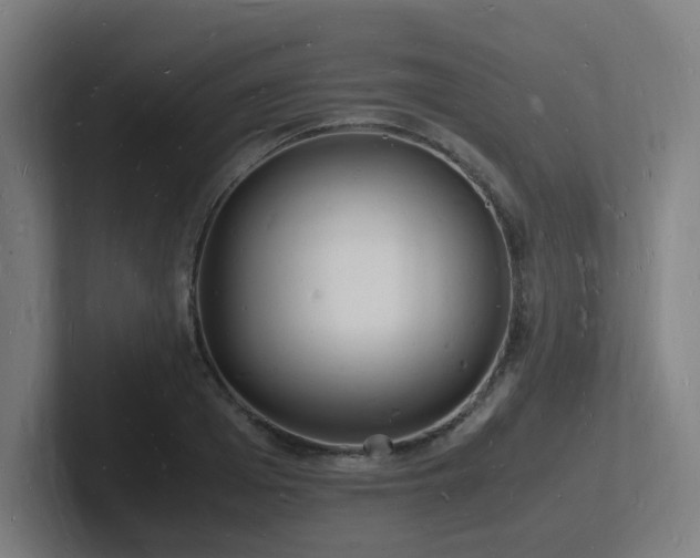 X0000102780985200808181146