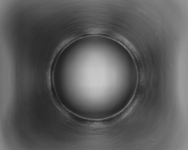 X0000102780986200808181146