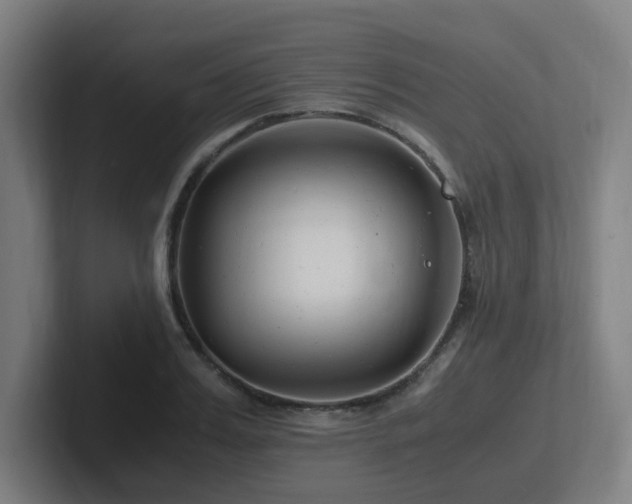 X0000102780987200808181146