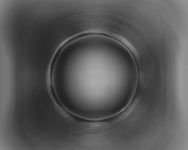 X0000102780988200808181146