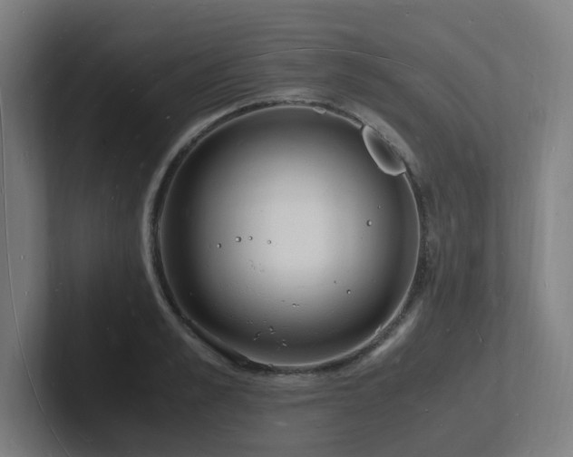 X0000102780989200808181146