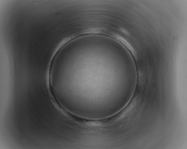 X0000102780994200808181146