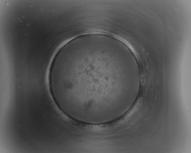 X0000102780995200808181146