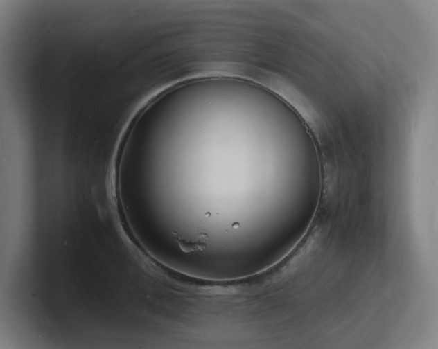 X0000102780996200808181146