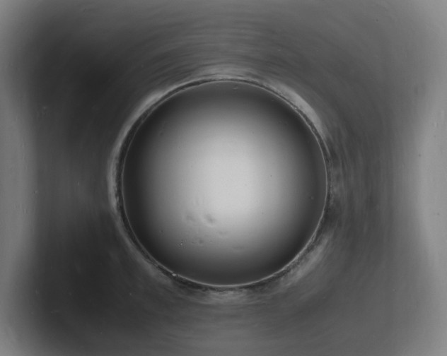 X0000102780997200808181146