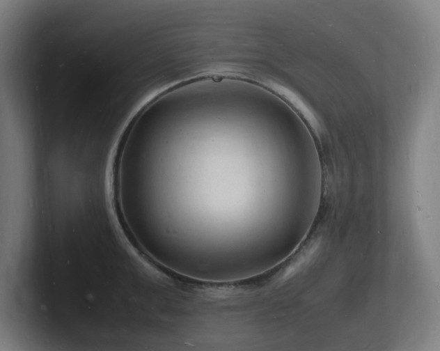 X0000102780999200808181146