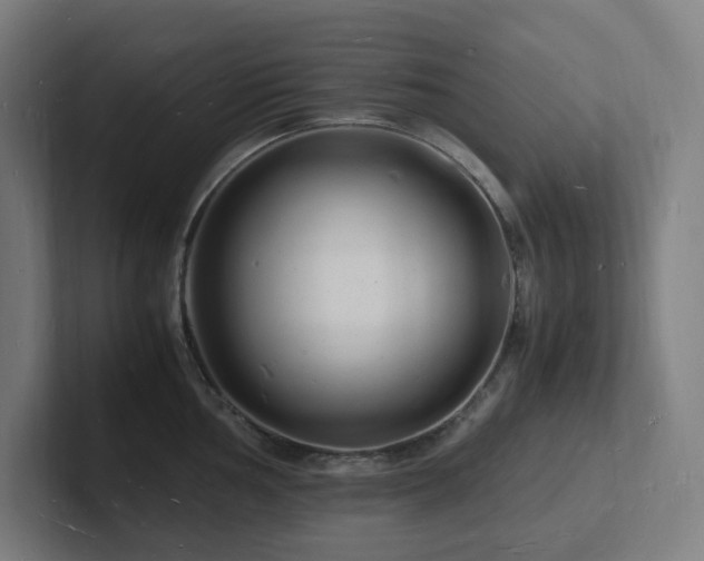 X0000102781002200808181146