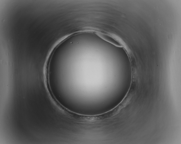 X0000102781003200808181146