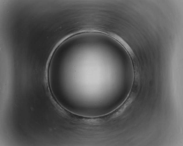 X0000102781004200808181146