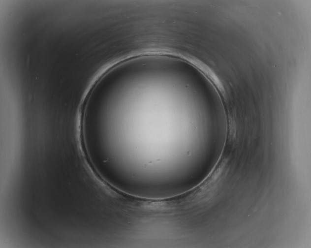 X0000102781006200808181146