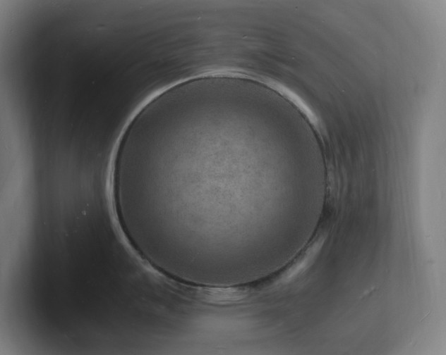 X0000102781007200808181146