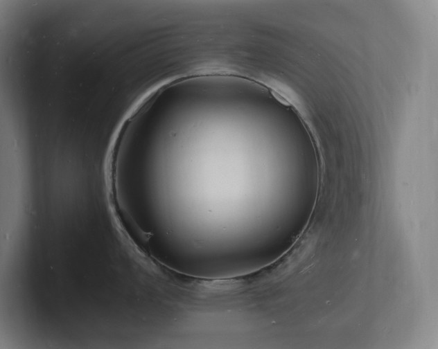 X0000102781008200808181146