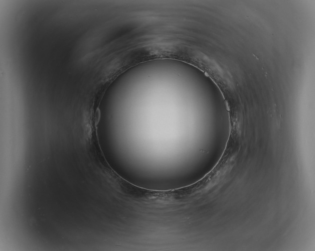 X0000102781012200808181145