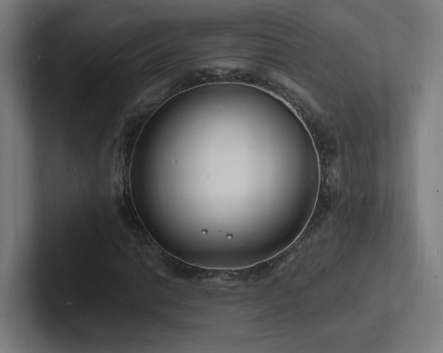 X0000102781014200808181145