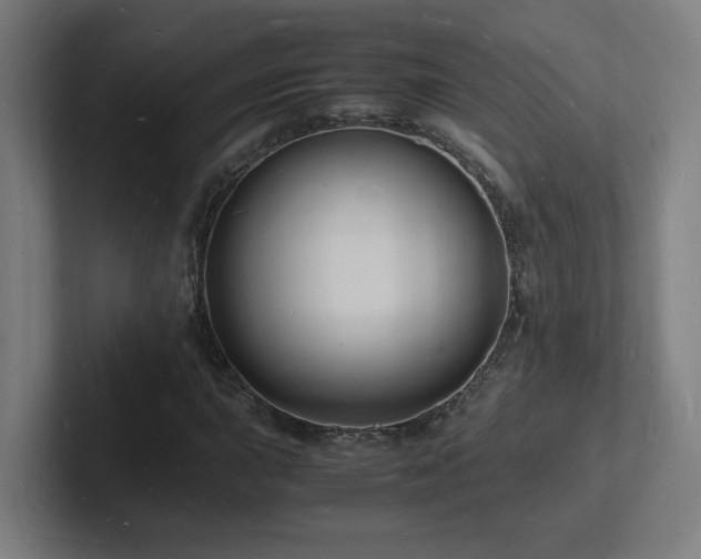 X0000102781015200808181145