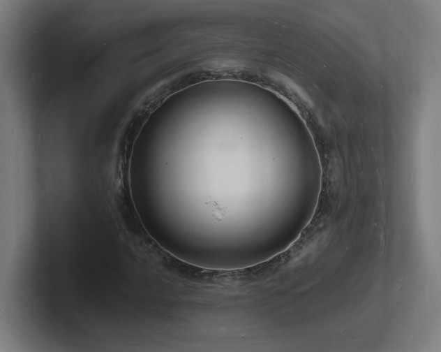 X0000102781016200808181145