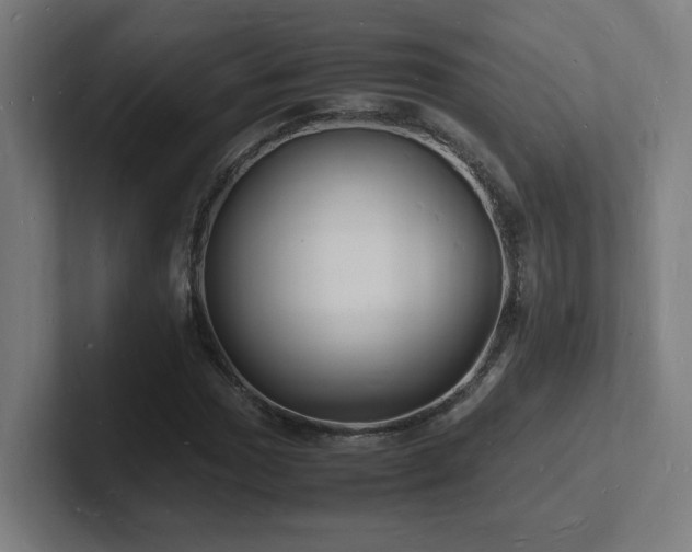 X0000102781017200808181145