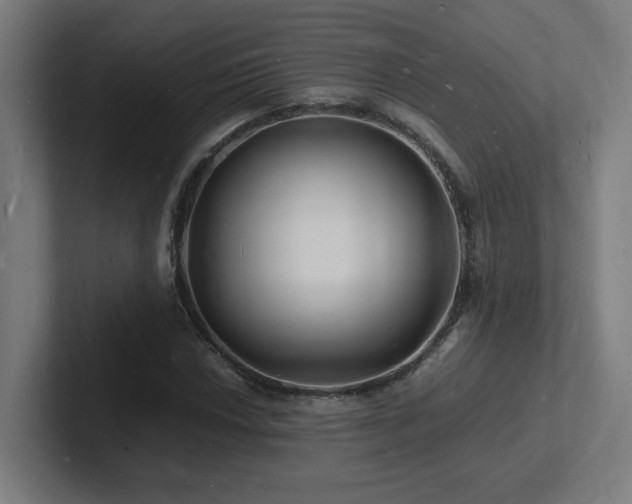 X0000102781018200808181145