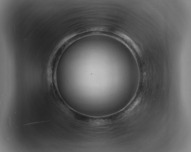 X0000102781019200808181145