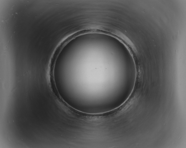 X0000102781020200808181145