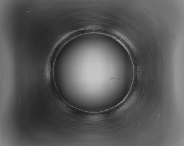 X0000102781021200808181145