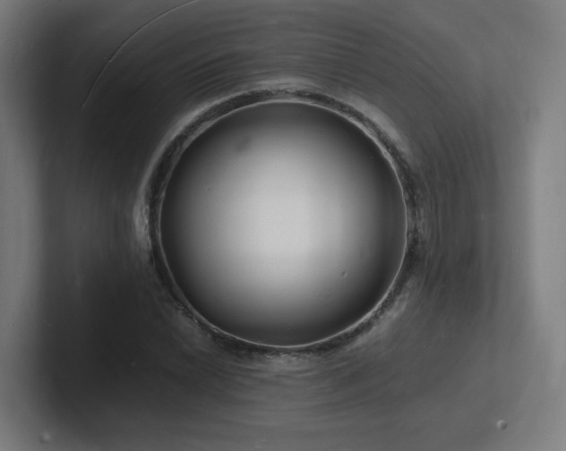 X0000102781022200808181145