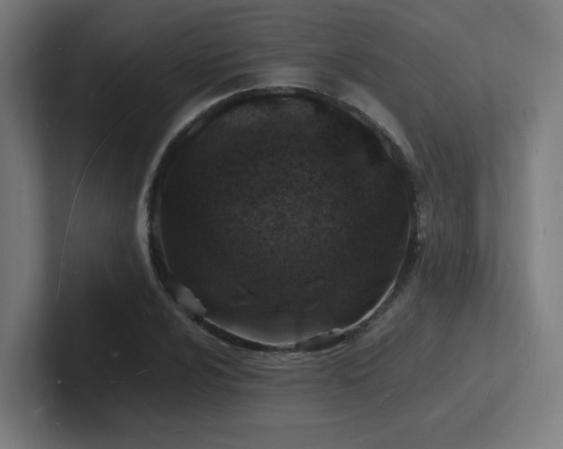 X0000102781024200808181145