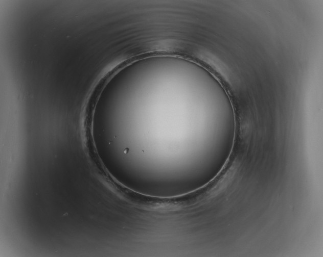 X0000102781026200808181145