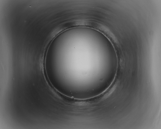 X0000102781033200808181145