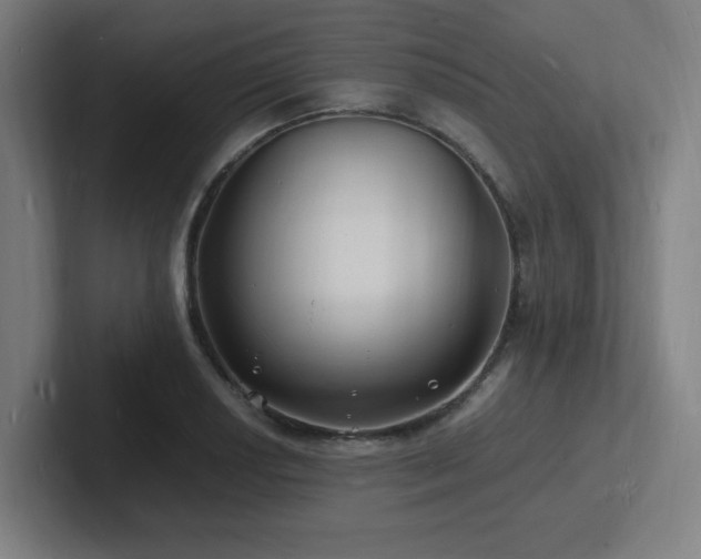 X0000102781034200808181145