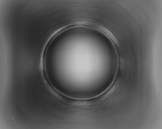 X0000102781036200808181145