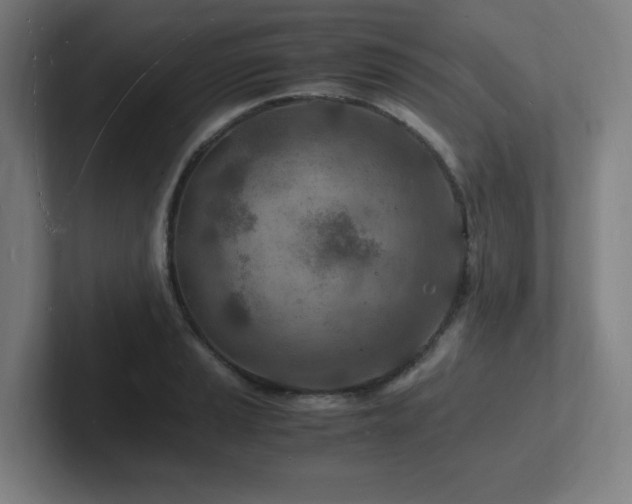 X0000102781037200808181145