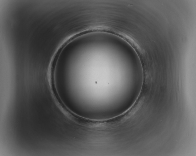 X0000102781038200808181145