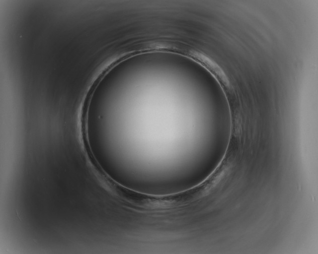 X0000102781039200808181145