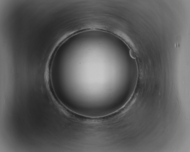 X0000102781040200808181145