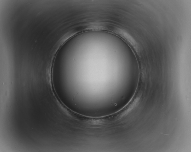 X0000102781041200808181145