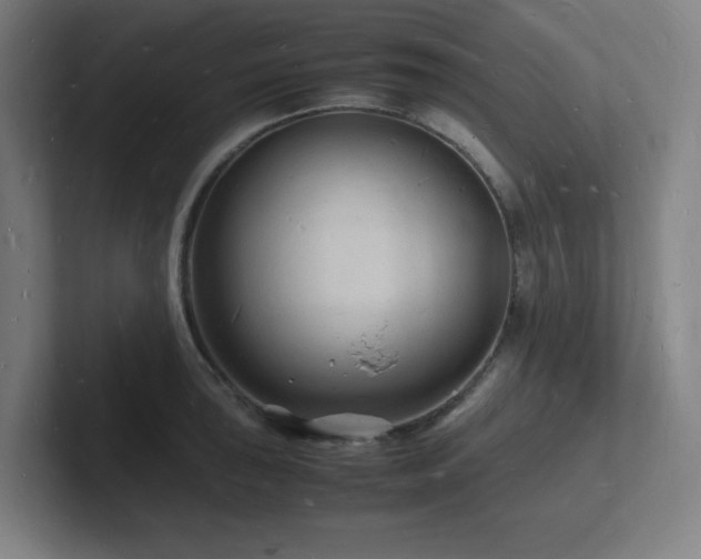 X0000102781043200808181146