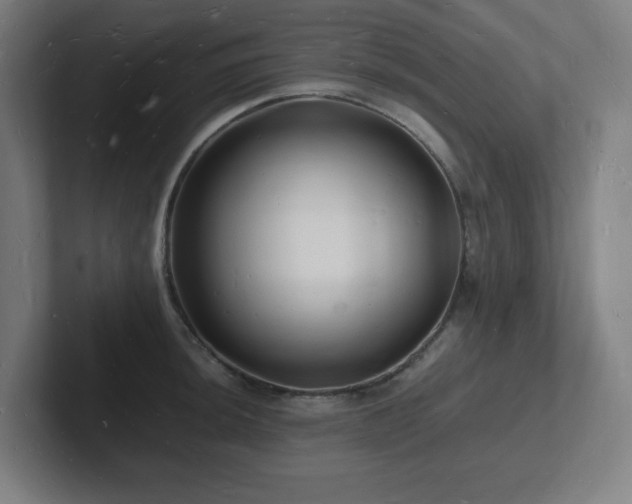 X0000102781044200808181146