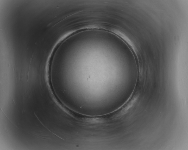 X0000102781045200808181146