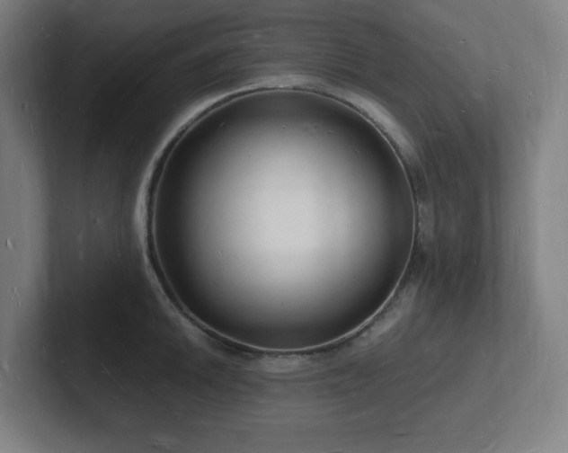 X0000102781046200808181146