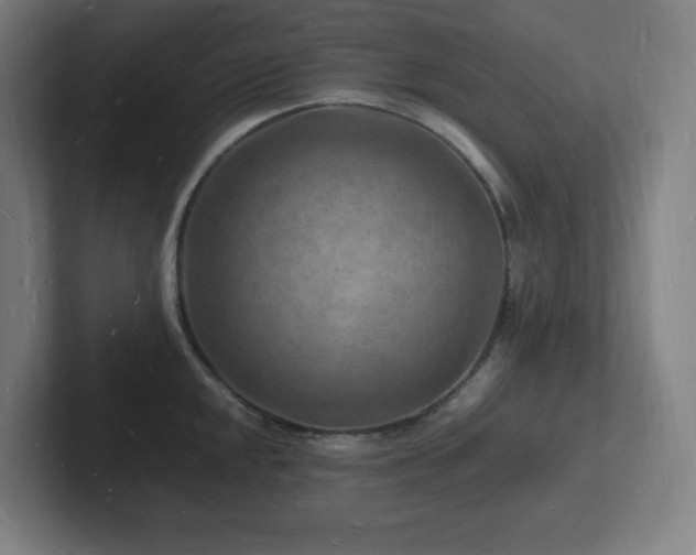 X0000102781048200808181146