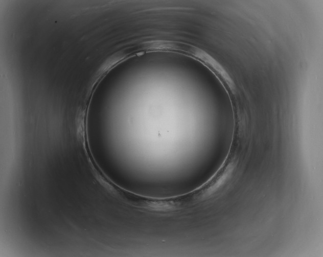 X0000102781049200808181146