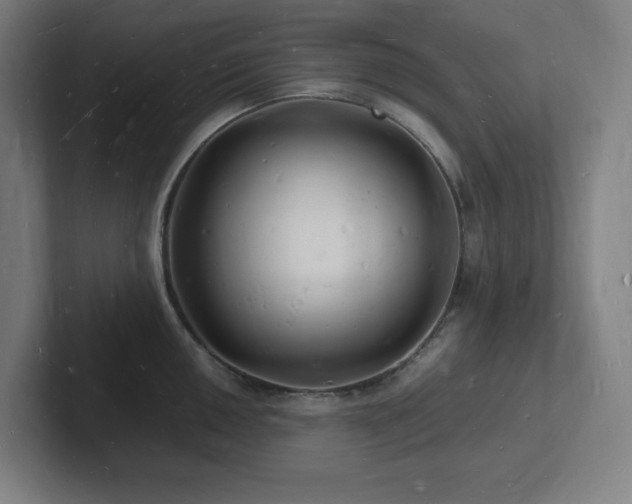 X0000102781050200808181146