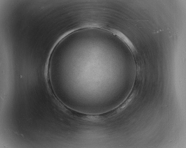 X0000102781052200808181146